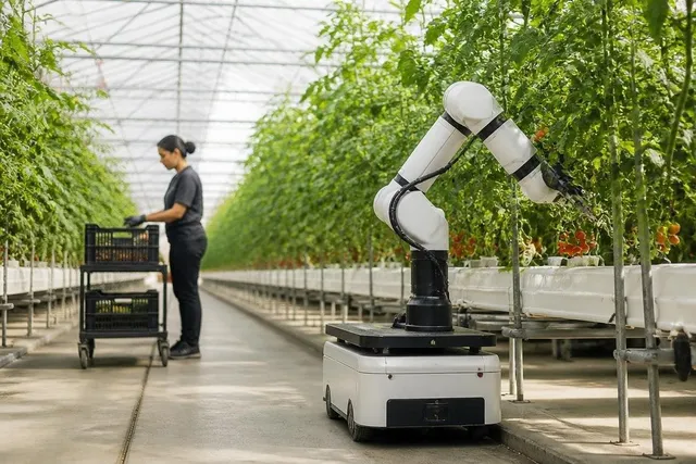 greenhouse-robots-are-taking-on-the-work-plants-make-difficult-1200x800-v1.jpg
